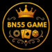 bn55 game