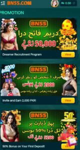 bn55 game