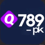 Q789 online earnig platform